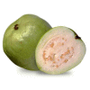 Guava